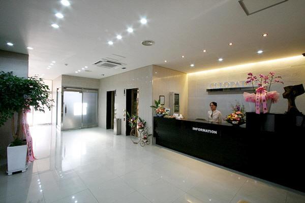 Hotel Cleopatra Ilsan جويانج المظهر الخارجي الصورة